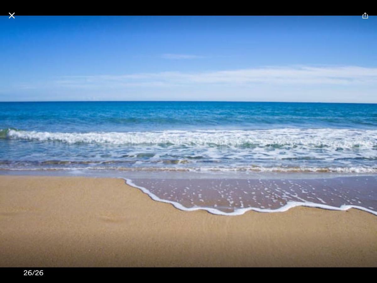 Sol Y Playa En San Juan 알리칸테 외부 사진