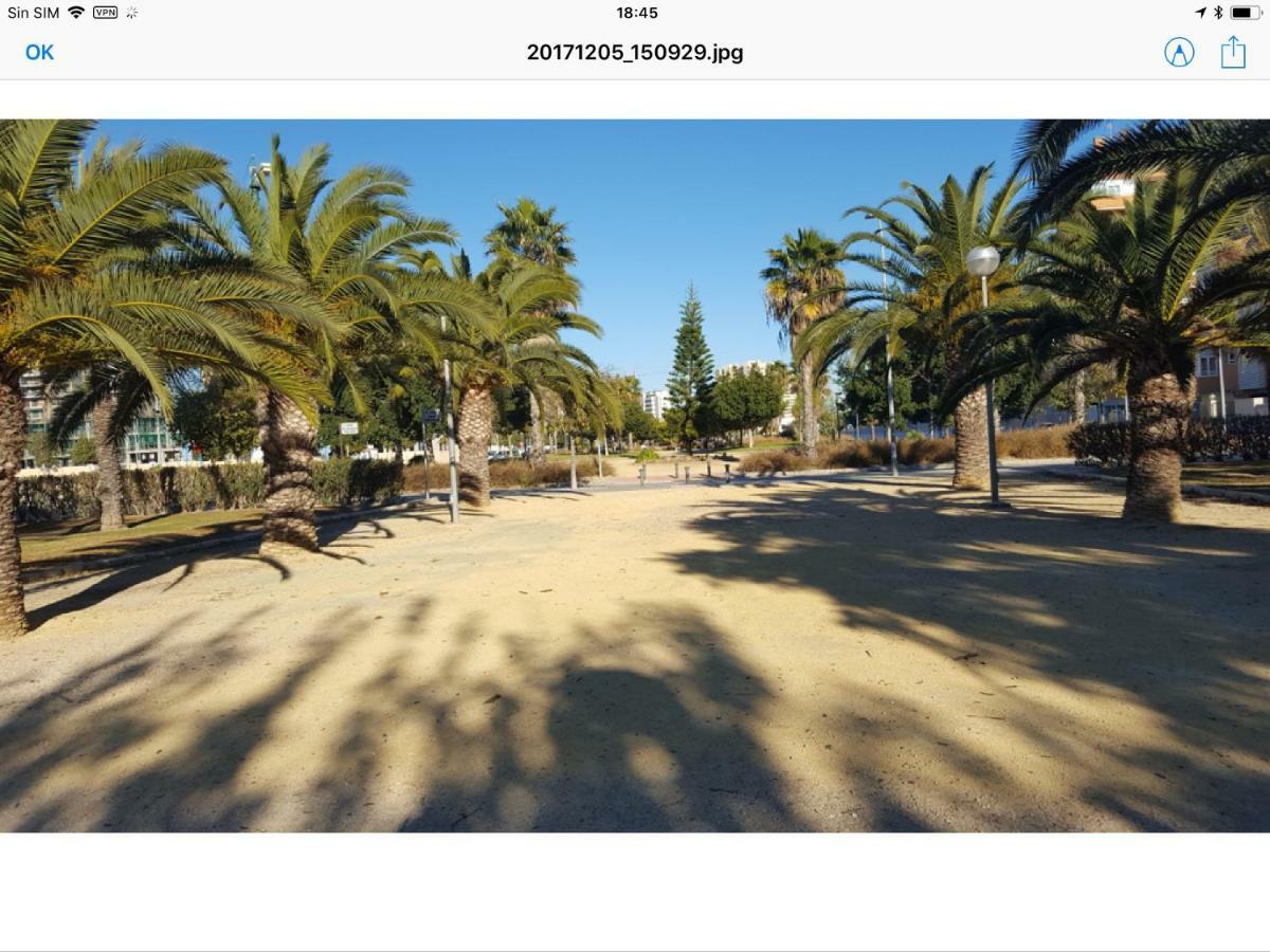 Sol Y Playa En San Juan 알리칸테 외부 사진